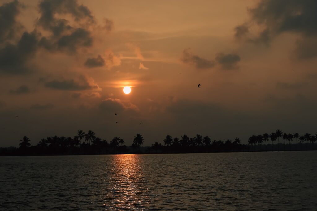 Kochi Honeymoon Package