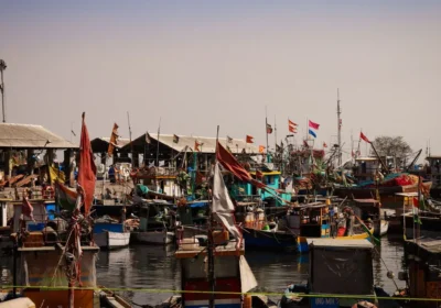Kochi Custom Itinerary 2026: How to Actually Build Good One