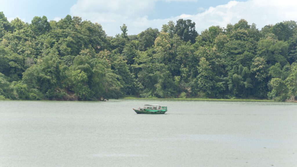 Thekkady Budget Tour Package