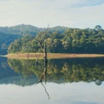 Thekkady Private Cab Booking