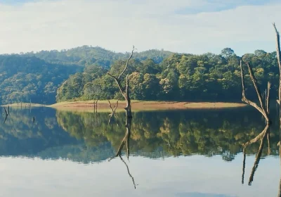 Thekkady Private Cab Booking 2026: Getting There and Getting Around