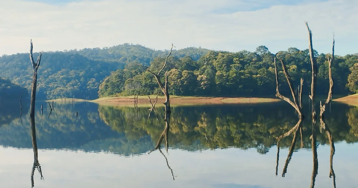 Thekkady Private Cab Booking