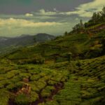Munnar 3 Day Tour Package