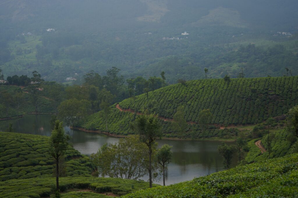 Munnar Honeymoon Package