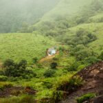 Wayanad Honeymoon Package
