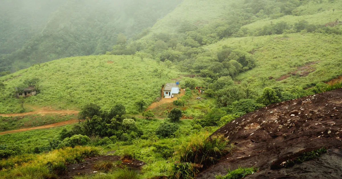 Wayanad Honeymoon Package