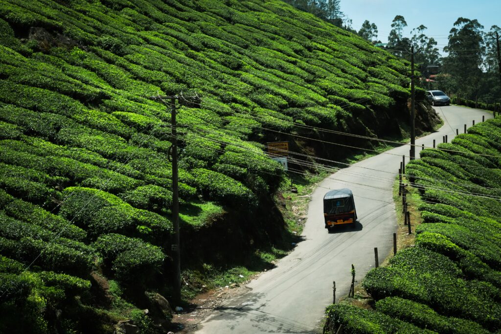 Wayanad Honeymoon Package